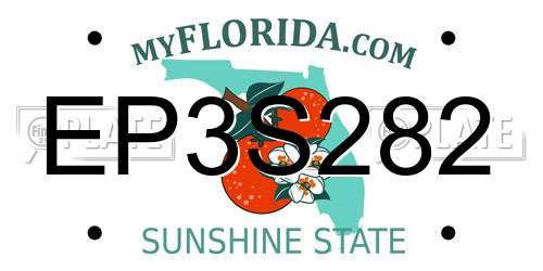 EP3S282 Florida License Plate