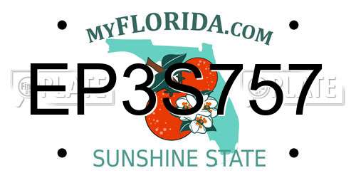 EP3S757 Florida License Plate