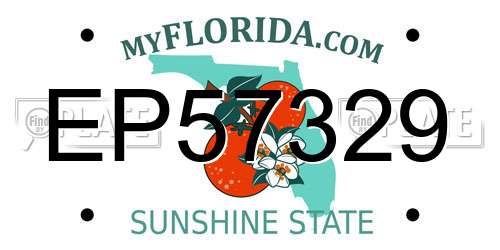 EP57329 Florida License Plate