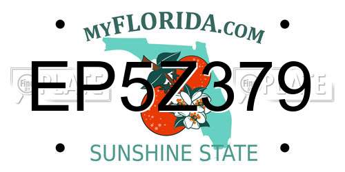 EP5Z379 Florida License Plate