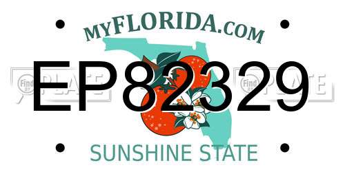 EP82329 Florida License Plate