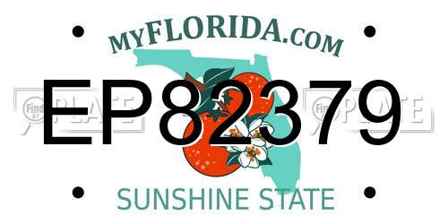 EP82379 Florida License Plate