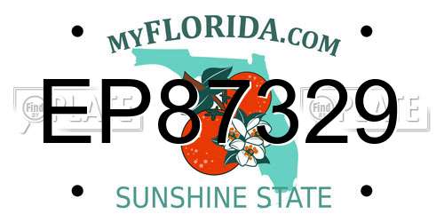 EP87329 Florida License Plate