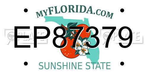 EP87379 Florida License Plate
