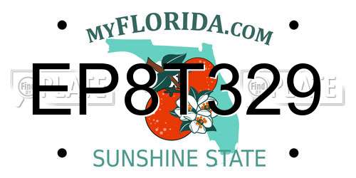 EP8T329 Florida License Plate