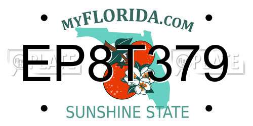 EP8T379 Florida License Plate
