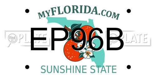 EP96B Florida License Plate