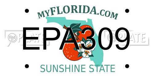 EPA309 Florida License Plate
