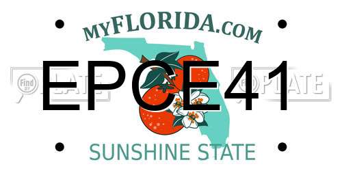 EPCE41 Florida License Plate
