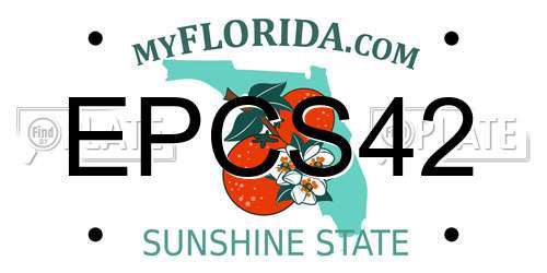 EPCS42 Florida License Plate
