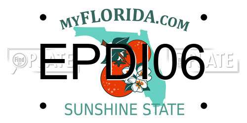 EPDI06 Florida License Plate