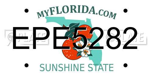 EPE5282 Florida License Plate