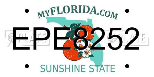 EPE8252 Florida License Plate