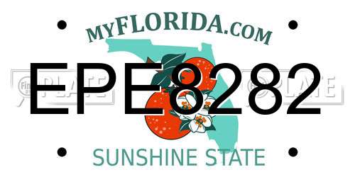 EPE8282 Florida License Plate