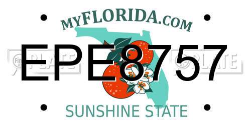 EPE8757 Florida License Plate