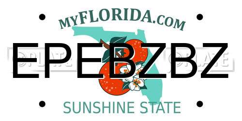 EPEBZBZ Florida License Plate