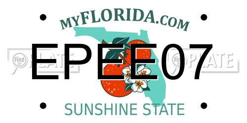 EPEE07 Florida License Plate