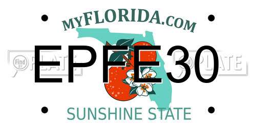 EPFE30 Florida License Plate