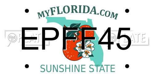 EPFF45 Florida License Plate