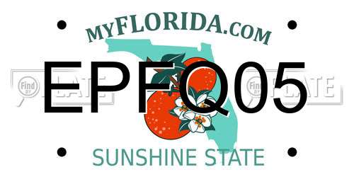 EPFQ05 Florida License Plate