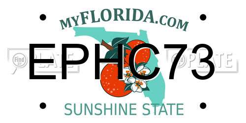 EPHC73 Florida License Plate