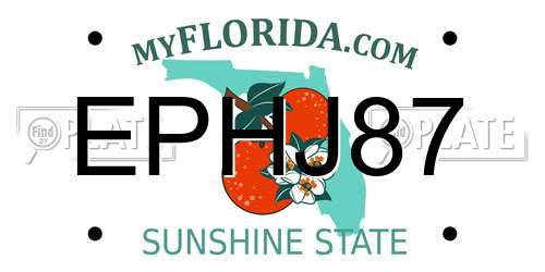 EPHJ87 Florida License Plate