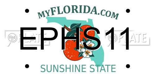 EPHS11 Florida License Plate