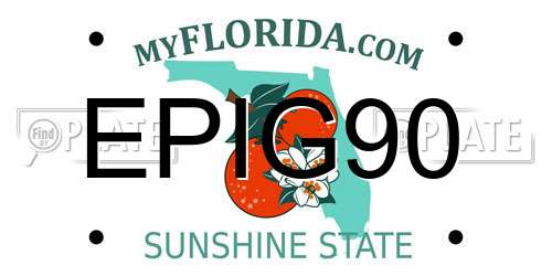 EPIG90 Florida License Plate