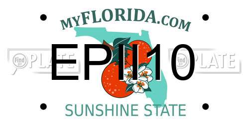 EPII10 Florida License Plate