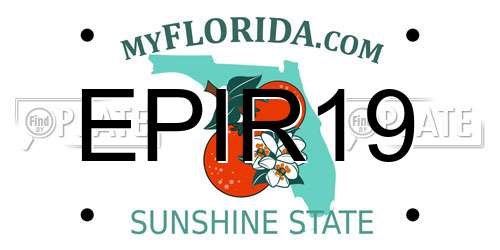 EPIR19 Florida License Plate
