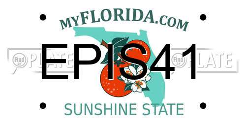 EPIS41 Florida License Plate