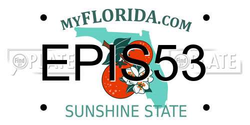 EPIS53 Florida License Plate