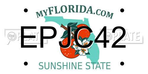 EPJC42 Florida License Plate