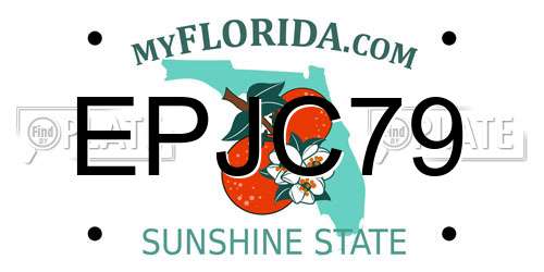 EPJC79 Florida License Plate