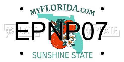 EPNP07 Florida License Plate