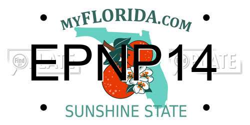 EPNP14 Florida License Plate