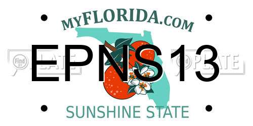 EPNS13 Florida License Plate