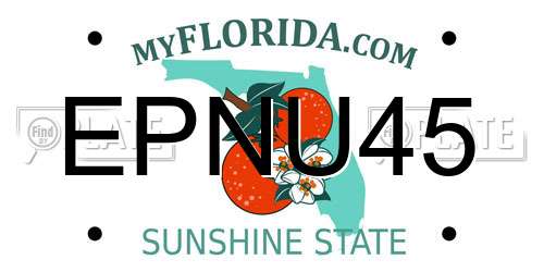 EPNU45 Florida License Plate