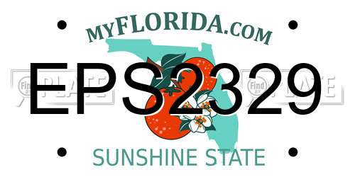 EPS2329 Florida License Plate