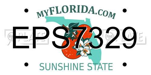 EPS7329 Florida License Plate
