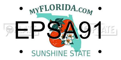 EPSA91 Florida License Plate