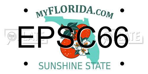 EPSC66 Florida License Plate