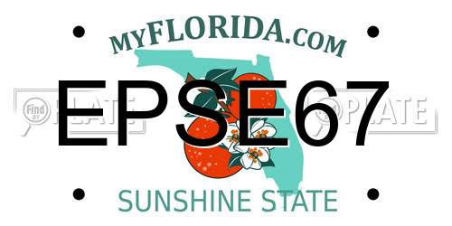EPSE67 Florida License Plate