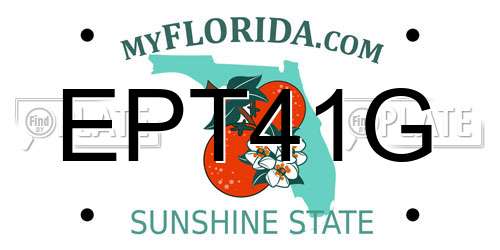 EPT41G Florida License Plate