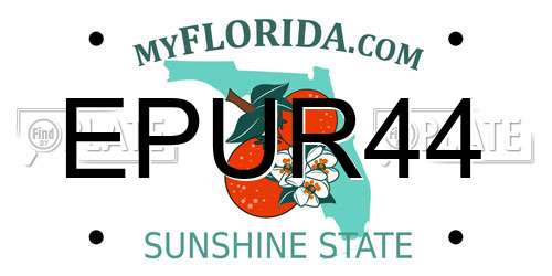 EPUR44 Florida License Plate