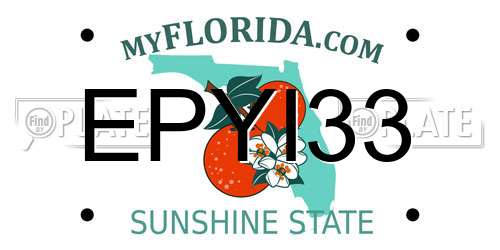 EPYI33 Florida License Plate