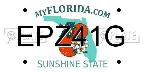 EPZ41G Florida License Plate