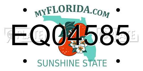 EQ04585 Florida License Plate