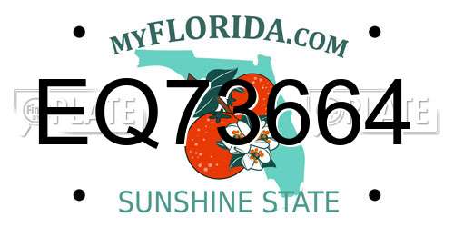 EQ73664 Florida License Plate