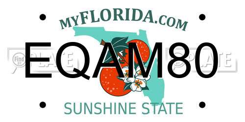 EQAM80 Florida License Plate
